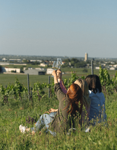 Weinevents in Gols Aussicht
